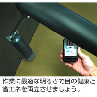 シンワ測定 照度計 アイヘルス 78604 1セット(2台)