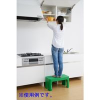 SANKA デコラステップトールL グリーン DS-TLG 1脚