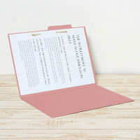 プラス 個別フォルダー B4PK FL-011IF  1セット（10枚）（直送品）