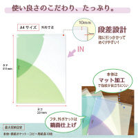 プラス PASTY CH A4 MG FL-700P4 1セット(3枚)（直送品）