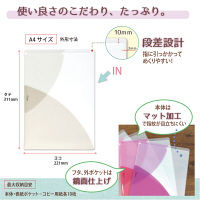 プラス PASTY CH A4 VW FL-700P4 1セット(3枚)（直送品）