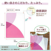 プラス PASTY CH B5 RP FL-710P5 1セット(5枚)（直送品）