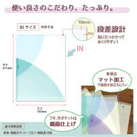 プラス PASTY CH B5 SB FL-710P5 1セット(5枚)（直送品）