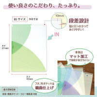 プラス PASTY CH B5 MG FL-710P5 1セット(5枚)（直送品）