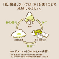 ティッシュペーパー 高品質 50組 スコッティ カシミヤ ナチュラル ソフトパック 1ケース（36パック） 日本製紙クレシア