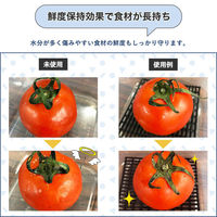 コモライフ 賢い冷蔵庫ノススメ 391421 1セット(2枚入)