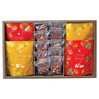 アデリー ホシフルーツ　果実とショコラ HFKC-003 1個（直送品）