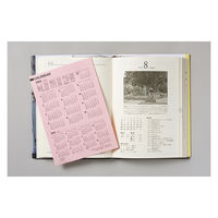 高橋書店 【2023年版】中型横線当用新日記 B6 1頁1日 11 1冊（直送品）