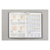 高橋書店 【2023年版】ビジネス手帳〈小型版〉8 手帳判 見開き1週間 月曜始まり あい 147 1セット(2冊)（直送品）