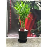 明和 Twistロング 6スン ホワイト 4580166883243 1個（直送品）