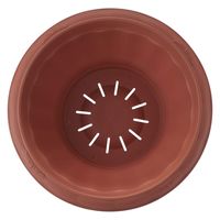 アップルウェアー クイーンボール 30型 ブラウン 4905980112322 1個（直送品）