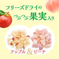 meito とけだす果実の紅茶 アップル&ピーチ 1パック（5本入）