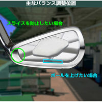 Tabata（タバタ） ゴルフ ウエイト 3点セット GV8013 2個（直送品）