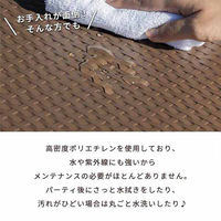 三栄コーポレーション 屋外利用、水洗い可能 ラタン調 折りたたみガーデンテーブル・チェア 7点セット A1--MKT180TBL7S_AS（直送品）