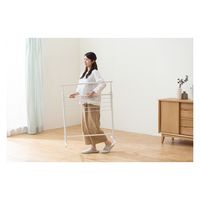 アイリスオーヤマ 簡単組立スタイル物干し ホワイト STMH-790 1台