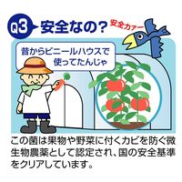 コモライフ バイオでカビよけ君 窓ぎわ用 67902 1個