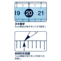 レイメイ藤井 すべらないカッティング定規30cm ACJ555 1個