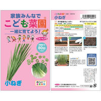 日本農産種苗 こども菜園 わくわくセット秋(観察シート付) 4960599900043 1セット(5袋入)（直送品）
