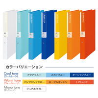 プラス　DEJAVU　2リングロック　PY　20　　98054　10冊（直送品）