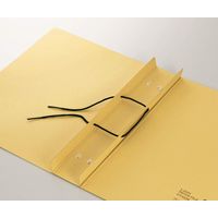 ライオン事務器 パッチファイル PTー533K 12622 1冊