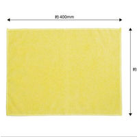 ストリックスデザイン 抗菌マイクロファイバークロス 1パック（40枚入）（わけあり品）