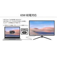 JAPANNEXT 23.8インチ液晶モニター USB Type-C接続対応 JN-IPS238F-C65W 1台 オリジナル