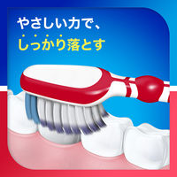 シュミテクト 歯周ダブルケアEX ハブラシ コンパクト ふつう 歯周病ケア 1セット（12本）Haleonジャパン