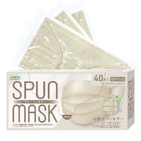 SPUN MASK スパンレース 不織布 （グレージュ）1セット（40枚入×3箱） 医食同源ドットコム 個包装 使い捨て カラーマスク