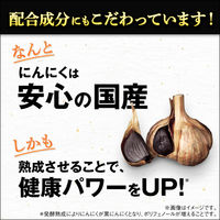 セサミンDX  約30日分(60粒入り)【小林製薬の栄養補助食品】 1個