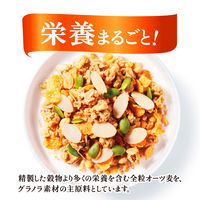 ケロッグ 素材まるごとグラノラ パリッとアーモンド やさしいはちみつ味 400g 6袋 日本ケロッグ グラノーラ