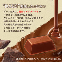 チョコレート ダース　ミルク　12粒入 1セット（1個×10）