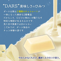 チョコレート 白いダース　12粒入 1セット（1個×10）