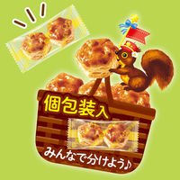 チョコレート菓子 パイの実　シェアパック　124g 1セット（1個×3）