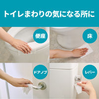 ウェットティッシュ　除菌シート エリエール除菌できるアルコールタオル 1パック（30枚入×3個） 流せるタイプ 大王製紙