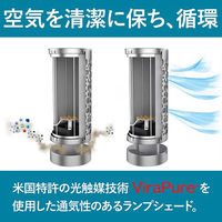 Aleddra 空気清浄機能付きライト イージスDLシルバー HC-ALD-DL-01S 1台