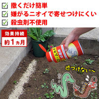 トーヤク へび・ムカデ忌避剤550g 217578 1本入