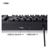 サンワサプライ USBハブ付コンパクトキーボード SKB-KG2UH3BK 1個