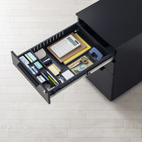 サンワサプライ キャビネット 幅390×奥行534×高さ600mm ホワイト SNW-106BK 1台（直送品）