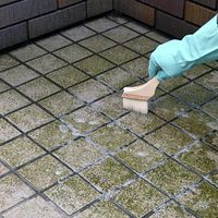 エクステリア タイルクリーナー 600mL 1個 日本ミラコン産業