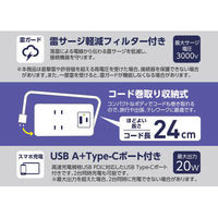 磁気研究所 USBポート付き電源タップ PD20W対応 コード巻き取り収納式 HDTAC2AC20WH 1個