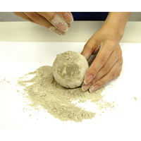 シヤチハタ コロピカどろだんご制作キット TMN-SHHD1 1個