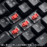 サンワサプライ メカニカルキーボード SKB-MK3BK 1台