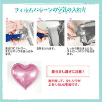 ハンズプロ　恐竜5　バルーンデコキット　No.3　1セット（直送品）