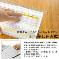ライオン事務器 ビジブルブック 一覧式帳簿 替台紙 8×5カード用 No.185・285用 10枚入 16243 1パック（直送品）