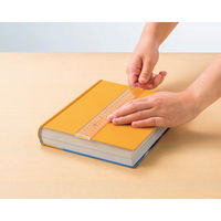 ライオン事務器 アクリル直線定規 15cm L-5S ピンク 日本製 27066 1セット(5本)（直送品）