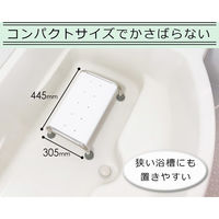 イー・エム・エー バスタブチェア SR-SBC503 1個