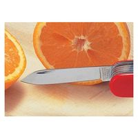 ビクトリノックス victorinox エグゼクティブ BK #0.6603.3 1個（直送品）