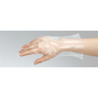 リーブル ポリエチ外エンボスFG L #2710 1袋(100枚)