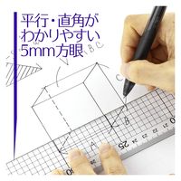 ライオン事務器 ハイカットスケール 定規 30cm HC-30 27171 1本