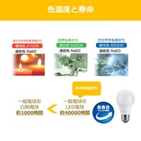 NVCライティングジャパン LED電球 100W形相当昼光色 配光角約 180°（1520lm）NVC LDA11D-G/K100AR 1個